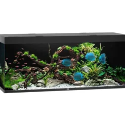 Juwel Akvarium Led Rio 450 Sort 151x51x66 cm 450 L