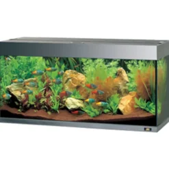 Juwel Akvarium Rio 180 L Sort 101x41x50 cm