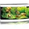 Juwel Aquarium VISION 260 LED Hvid