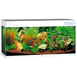 Juwel Rio 240 L Hvid 121x41x55 cm