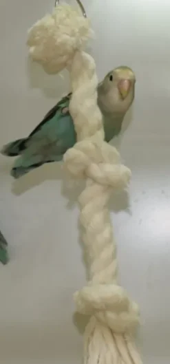 Klatrereb med knuder 38 cm