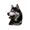 Klistermærke af Alaskan Malamute Hoved Stor