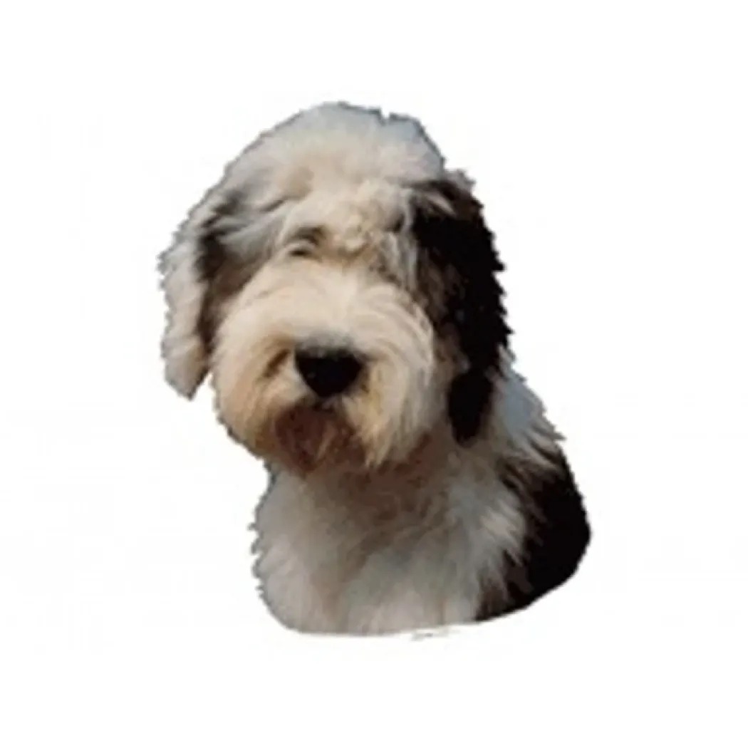Klistermærke af Old English Sheepdog stor