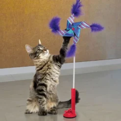 Kong Cat Connects Switch Teaser Pinwheel
