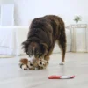 Kong Comfort Pups Spot M - bamse til hunde