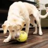 KONG Reward Tennis Gul Small 8 cm - aktiveringslegetøj til hunde
