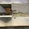 Labbur 4 (rottebur) brugt