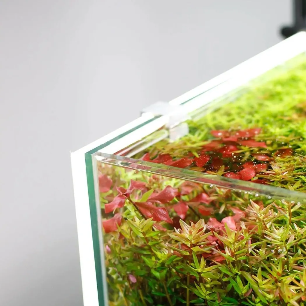 LED Lys Baggrund til akvariet 30x30x1 cm