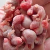 Levende pinkie (sendes ikke)