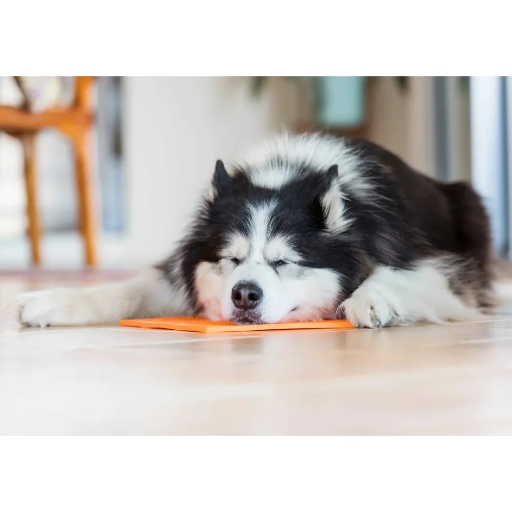 LickiMat Slikkemåtte 28 x 28 cm Orange - aktiveringsmåtte til hunde