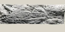 Malawi Baggrund Hvid Kalksten 200 x 60 cm