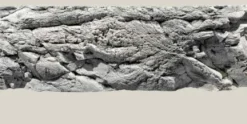 Malawi Baggrund Hvid Kalksten 150 x 50 cm