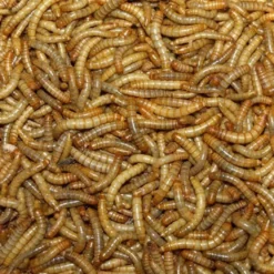 Melorme Tørret 200 Gram