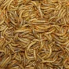 Melorme Tørret 1 kg