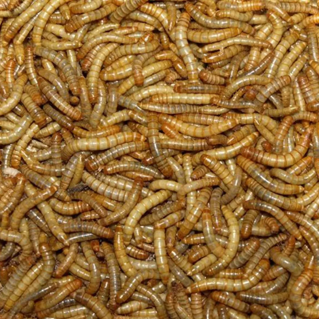 Melorme Tørret 1 kg