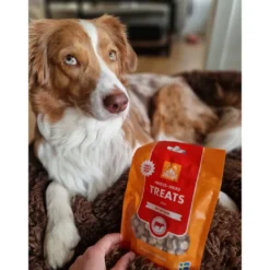 MUSH Treat Grisehjerte 55 g - naturlige hundesnacks
