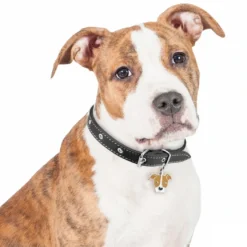 My Family Hundetegn Friends Amerikansk Pitbullterrier Rød