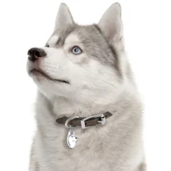 My Family Hundetegn Friends Siberian Husky Grå