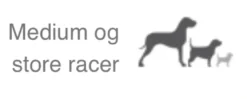 Natura Diet Daily Hundefoder 12 kg - Naturligt og afbalanceret tørfoder til hunde