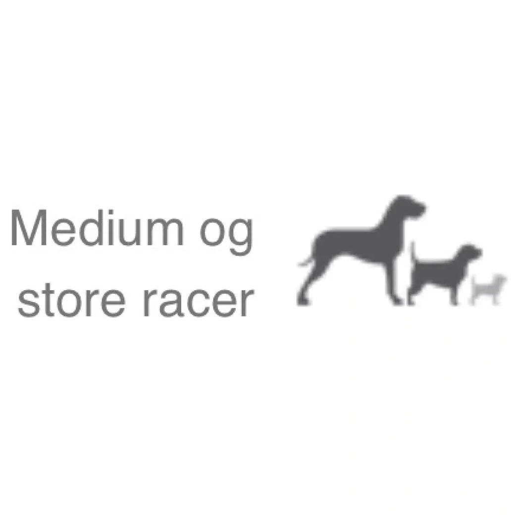 Natura Diet Lam og Ris Hundefoder 3 kg - Sundt og nærende til små og mellemstore hunde
