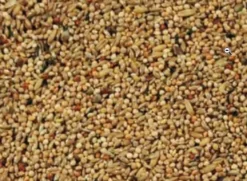 Natural Original Undulat Avl Spec. 20 kg