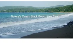 Natures Ocean Live Hawaii Black Beach Sand 4,54 kg 0,5-1,7 mm