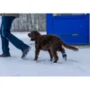 Ozami hundesokker S sort - 4 stk let beskyttelse til poter