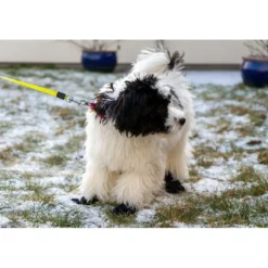 Ozami hundesokker S sort - 4 stk let beskyttelse til poter