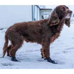 Ozami hundesokker XL sort - bløde sokker til store hundepoter