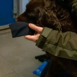 Ozami hundesokker XS sort - 4 stk til små hundepoter