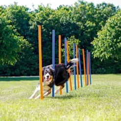 Pawise Hunde Agility Slalom 12 stk pæle - sjov hundetræning