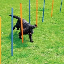 Pawise Hunde Agility Slalom 12 stk pæle - sjov hundetræning