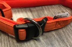 Petlando Hundehalsbånd i Neopren Orange M - let og komfortabelt hundehalsbånd