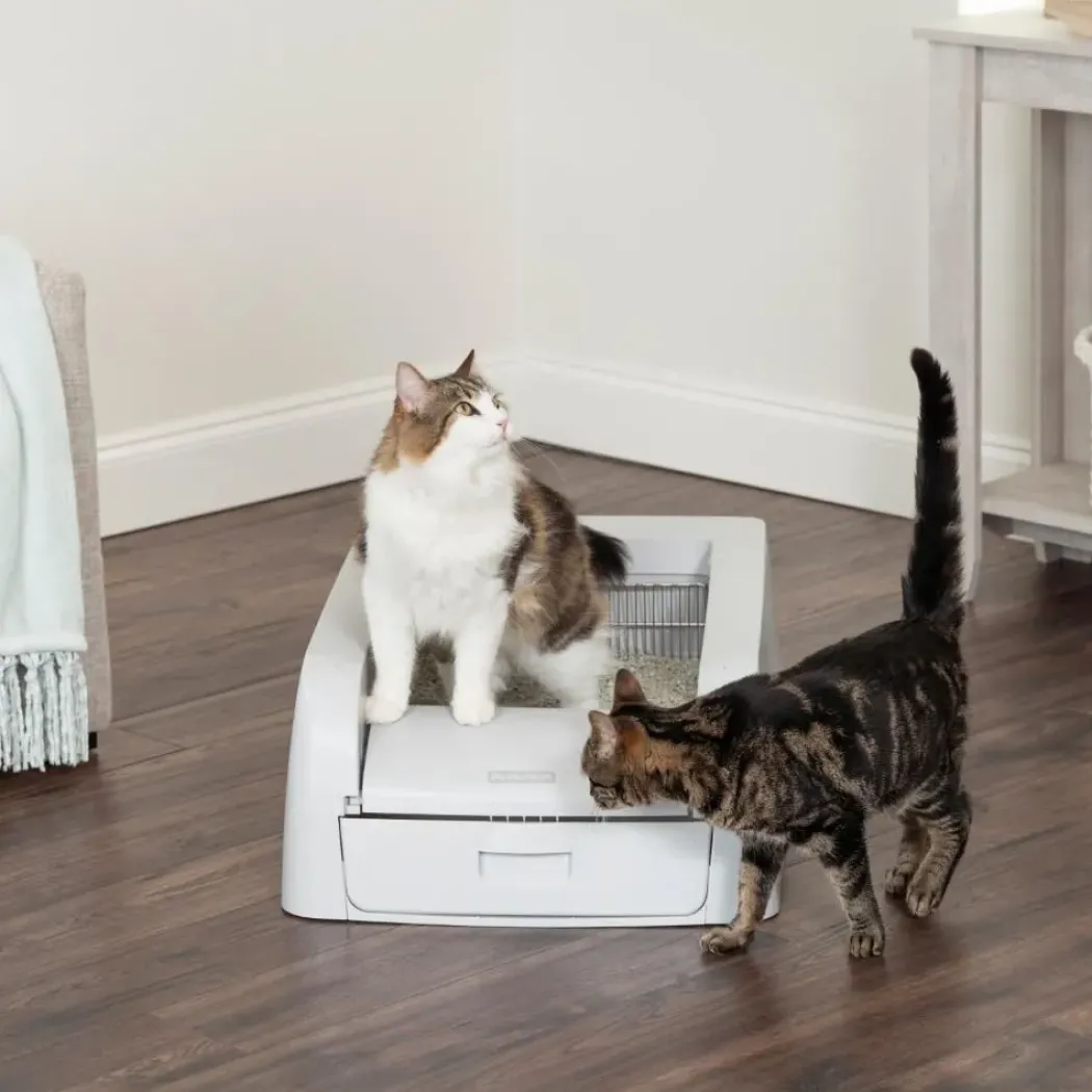Petsafe ScoopFree Auto Clumping Litterbox Kattetoilet PAL10-17992