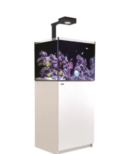 Red Sea Akvarium Reefer Deluxe Hvid 170