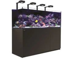 Red Sea Akvarium Reefer Deluxe XXL Sort 750