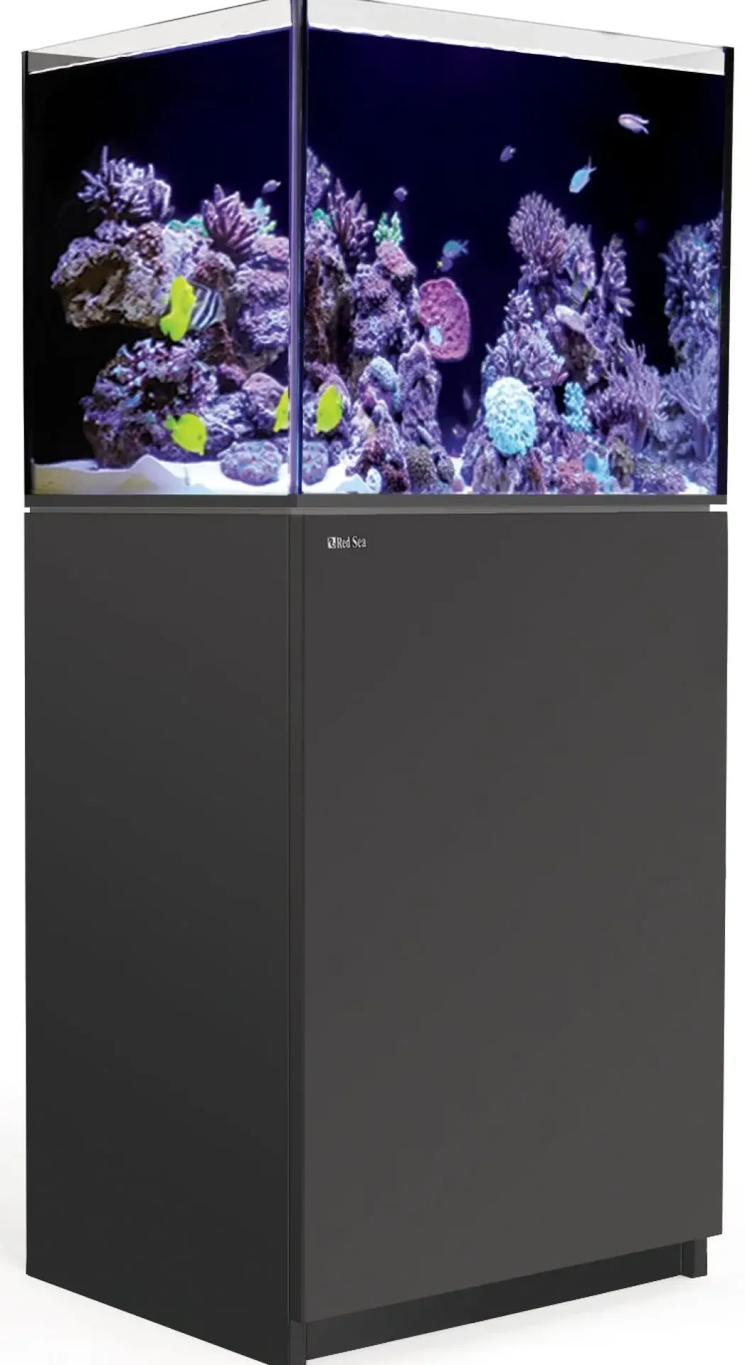 Red Sea Akvarium Reefer Sort 170 V3