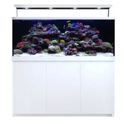 Red Sea MAX S-650 Liter Hvid G2