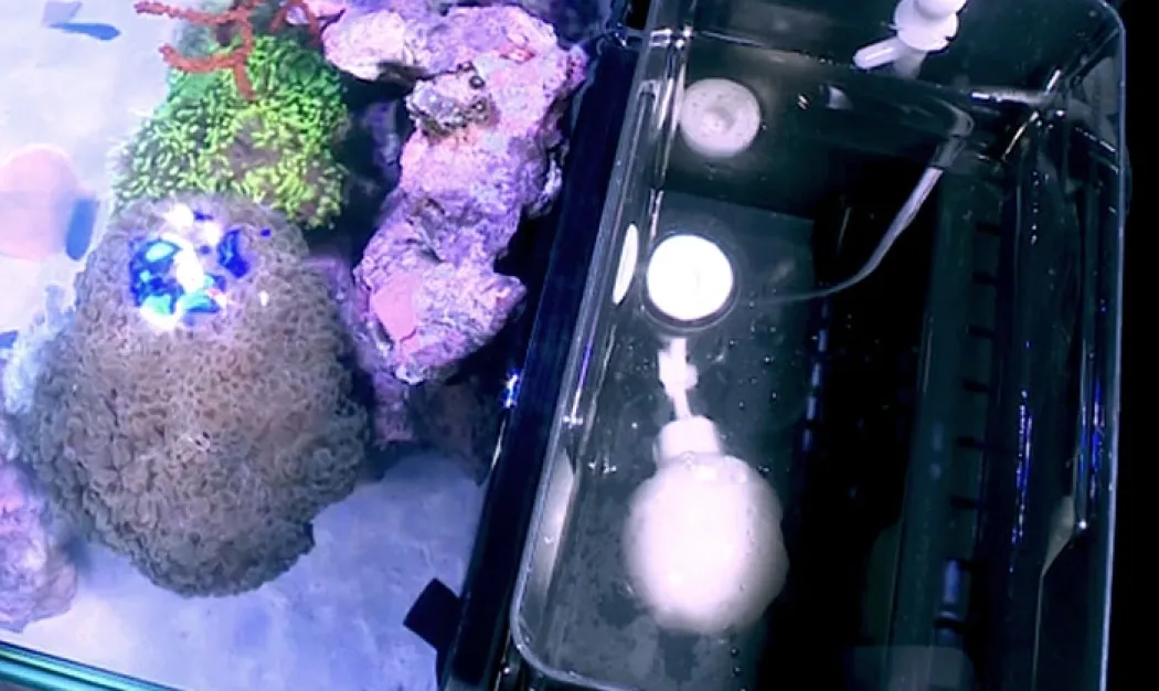 Red Sea Nano Max Complete Reef System Hvidt G2