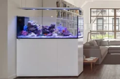 Redsea Saltvandakvarium Peninsula P650 Deluxe Hvid