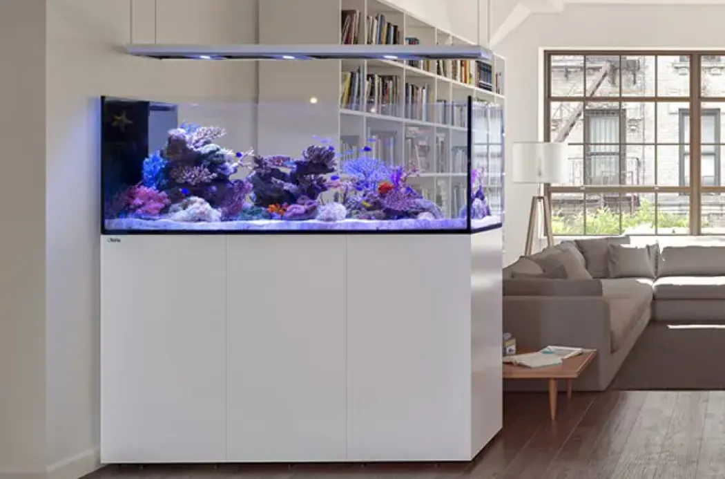 Redsea Saltvandakvarium Peninsula P650 Deluxe Hvid