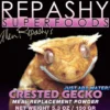 Repashy Crested Gecko 85 g