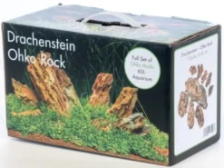 Rock-Box Dragon stone til 60 L