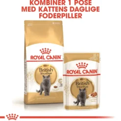 Royal Canin British shorthair 10 kg