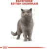 Royal Canin British shorthair 400 gram
