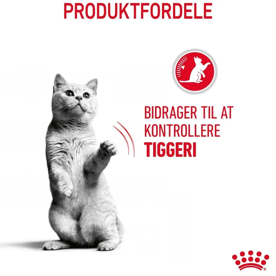 Royal Canin Care Appetite Control 2 kg