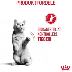 Royal Canin Care Appetite Control 3,5 kg