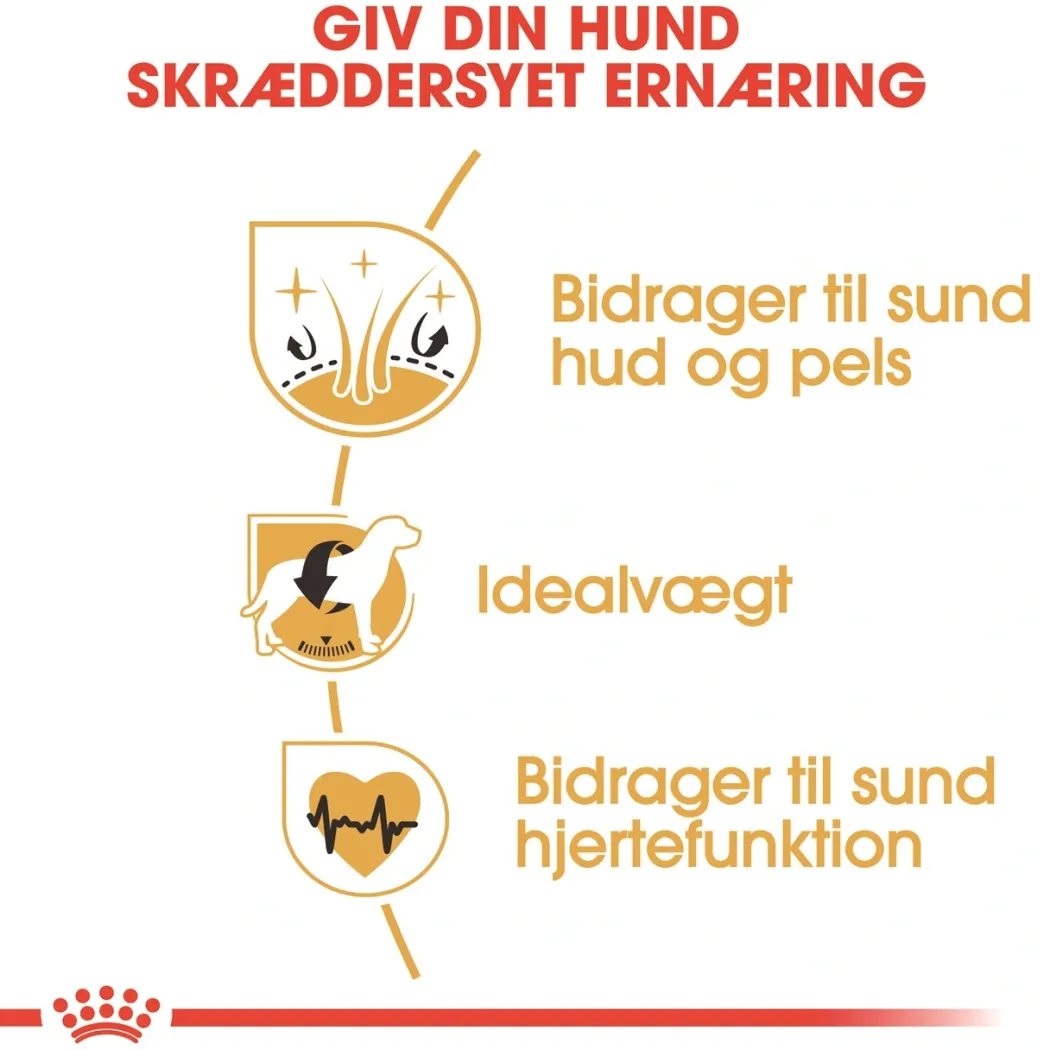 Royal Canin Cocker Spaniel Adult 3 kg - tørfoder til voksne hunde