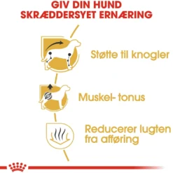 Royal Canin Dachshund Adult 7,5 kg - tørfoder til gravhunde