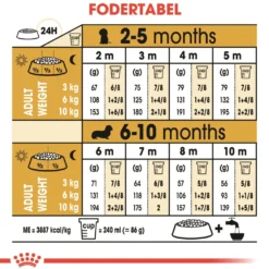 Royal Canin Dachshund Puppy 1,5 kg - tørfoder til Gravhund hvalpe